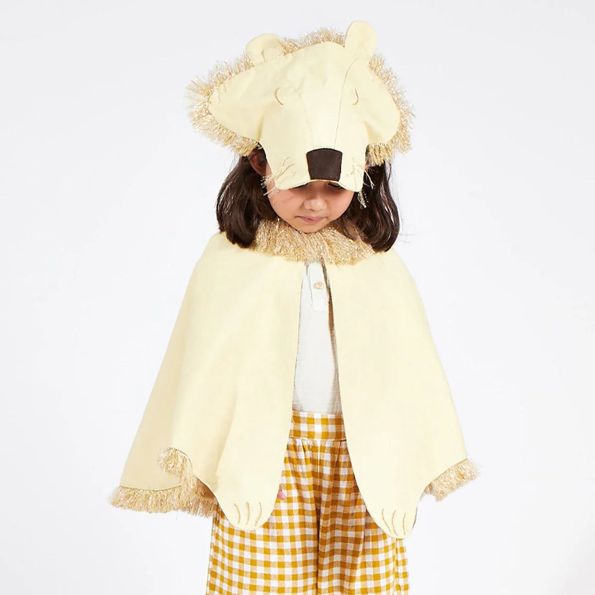 lion costume
