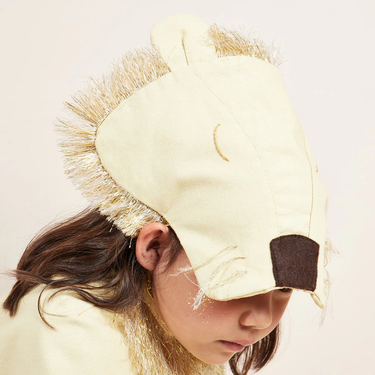 lion costume