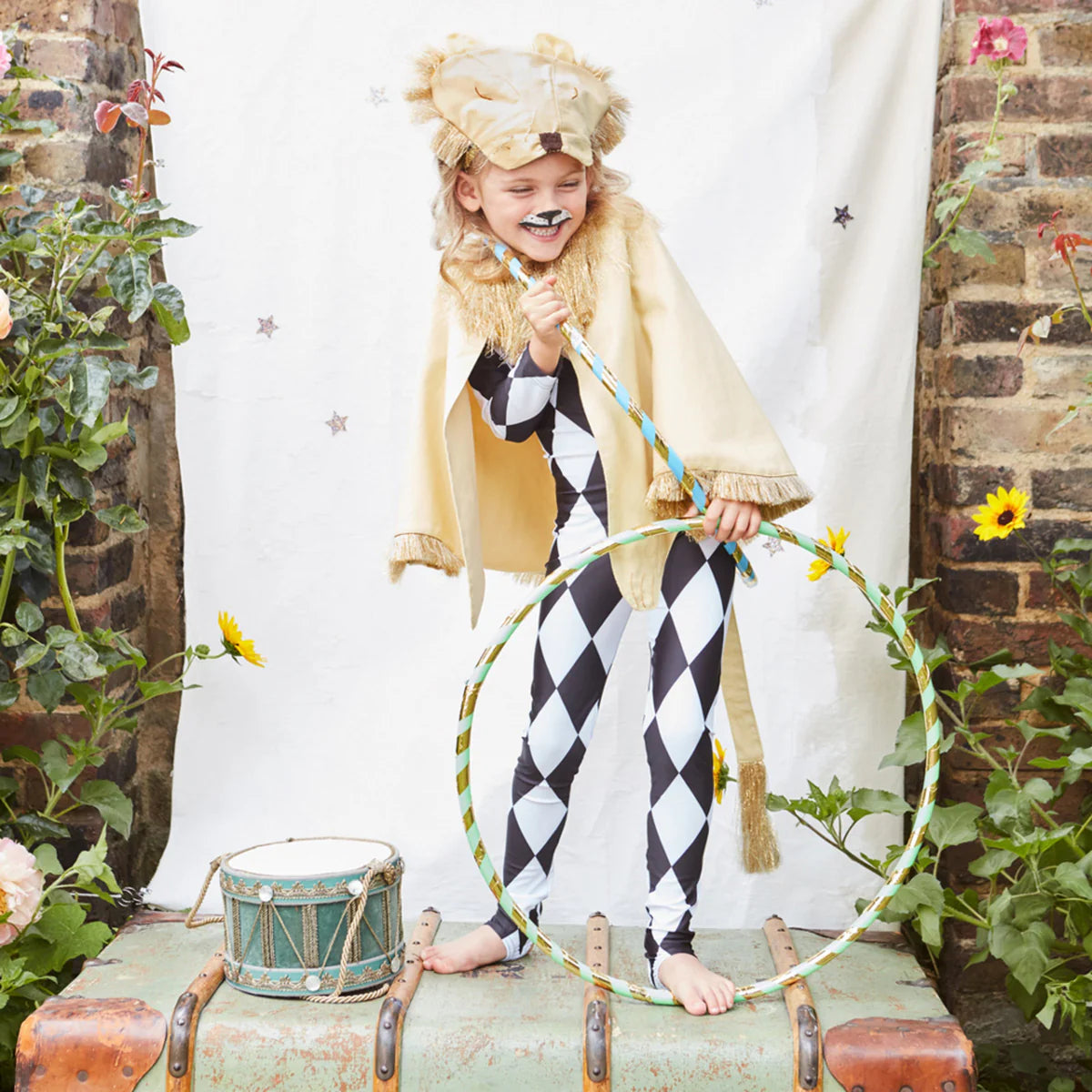 lion costume