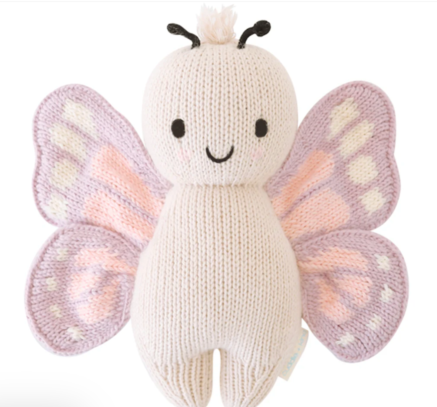baby butterfly