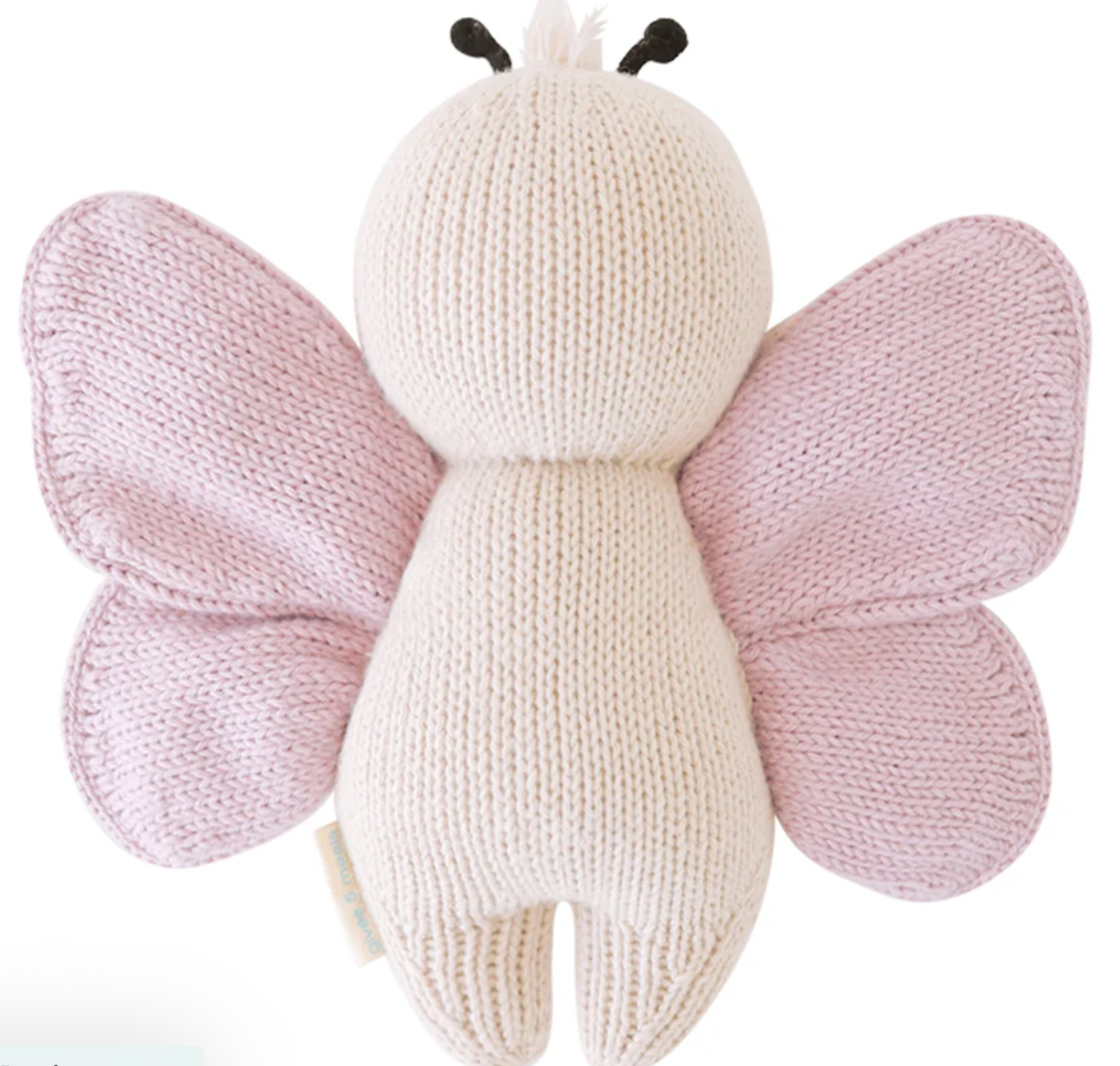 baby butterfly