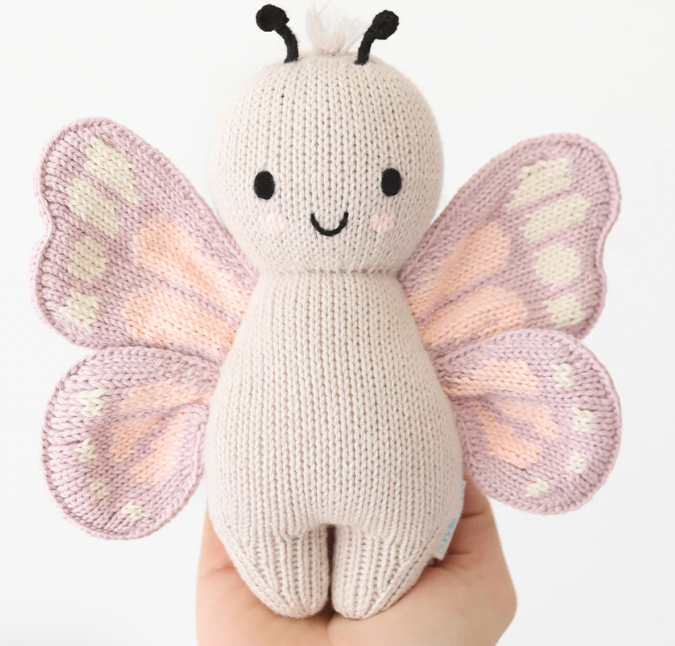 baby butterfly