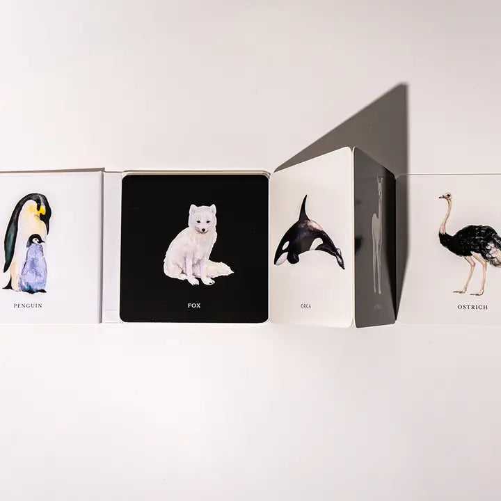 baby's black and white contrast book