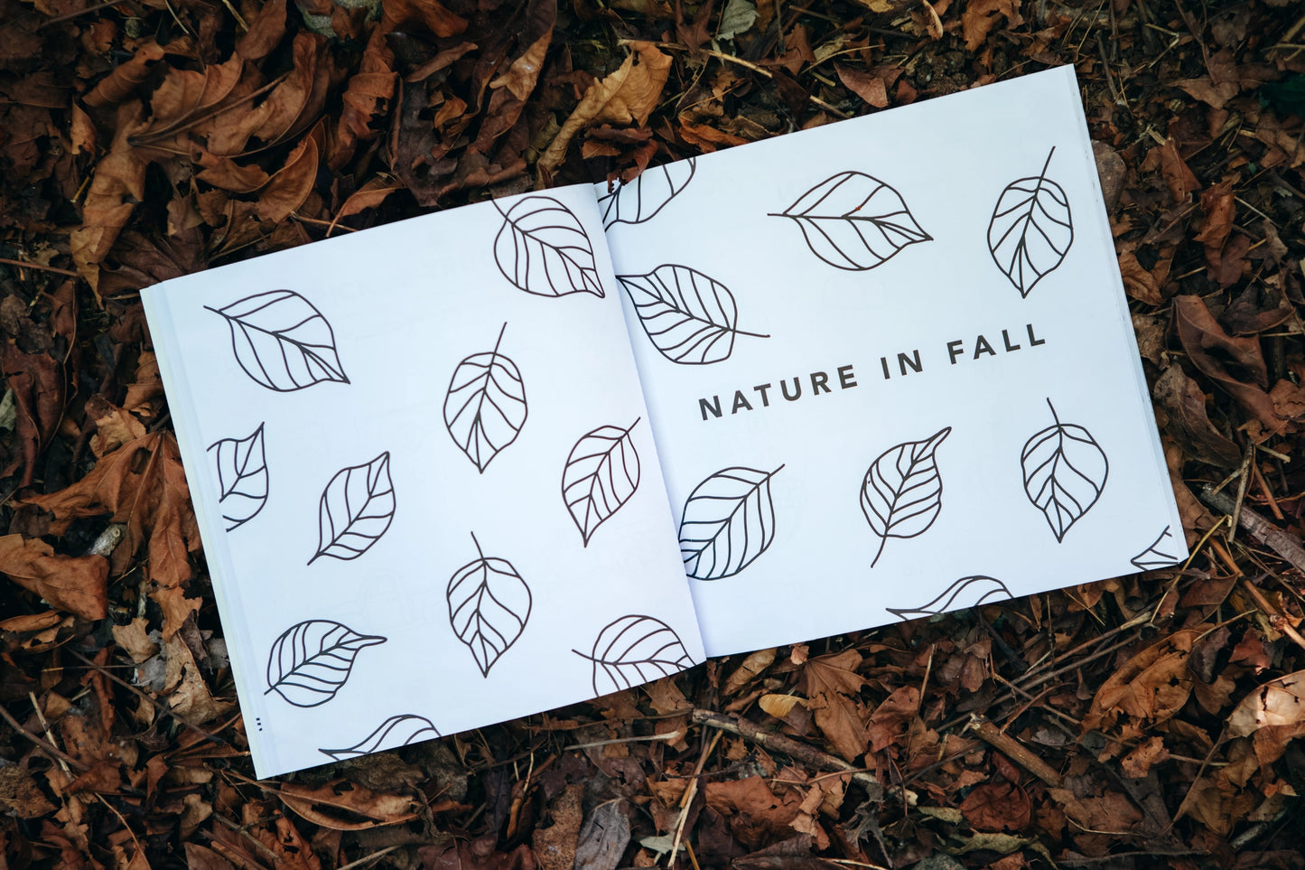 how to draw: fall things