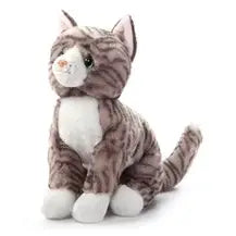 12" grey tabby cat