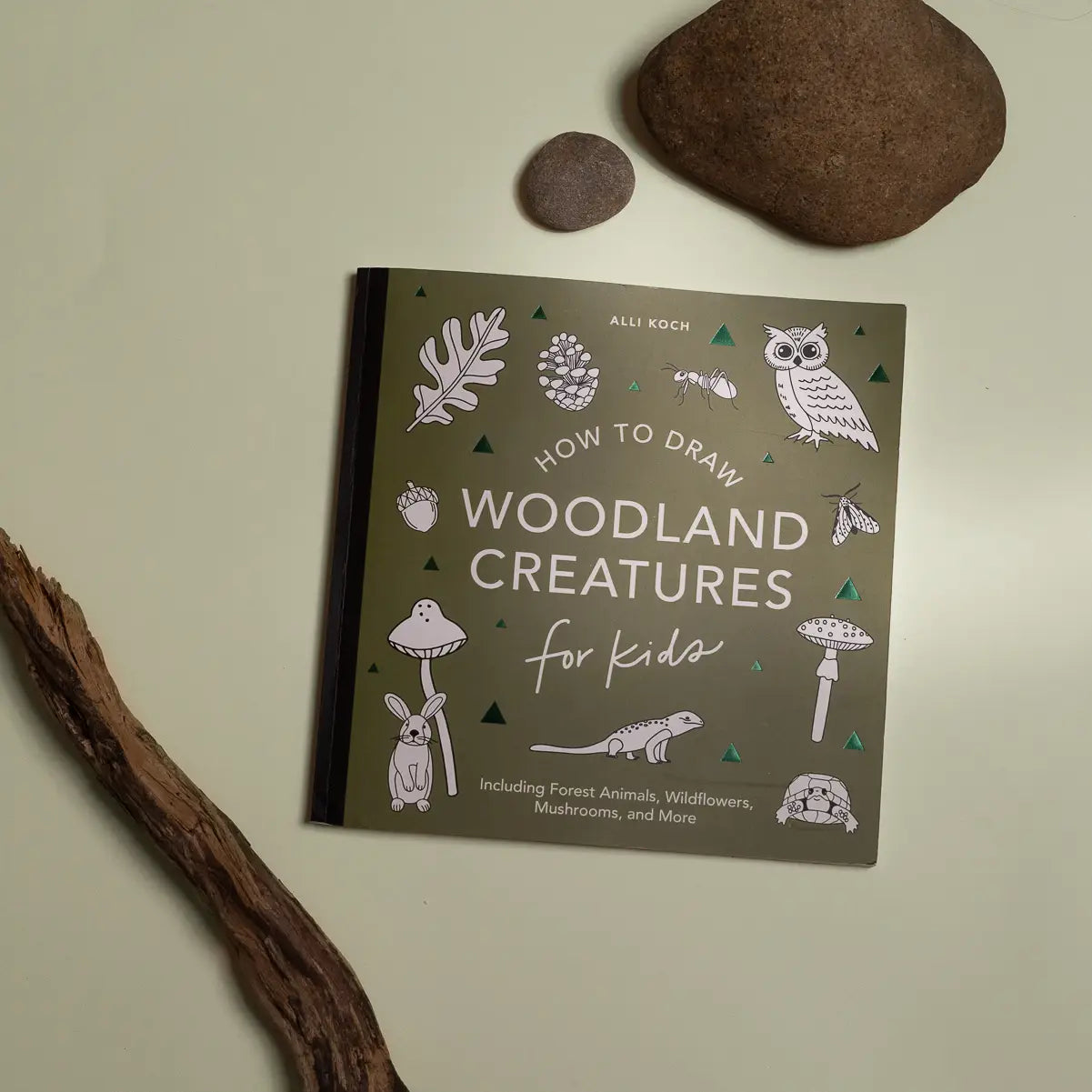 how to draw: woodland creatures