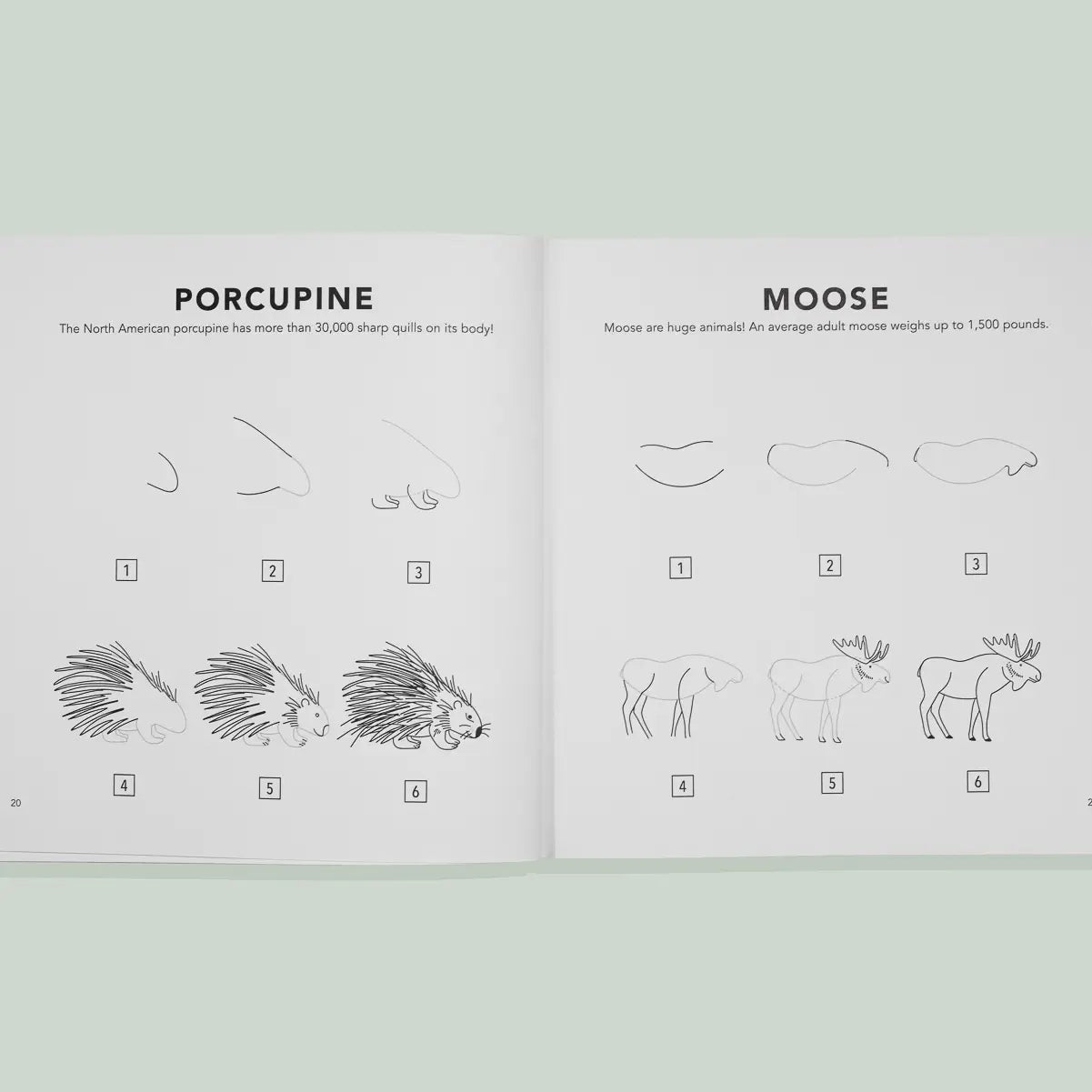 how to draw: woodland creatures