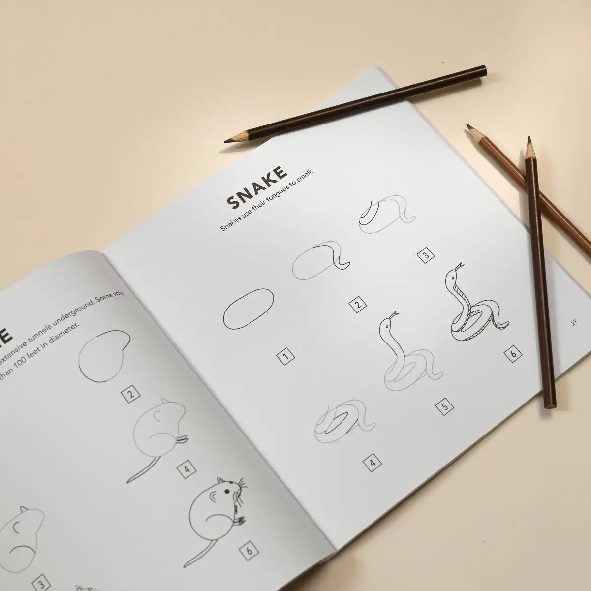 how to draw: woodland creatures