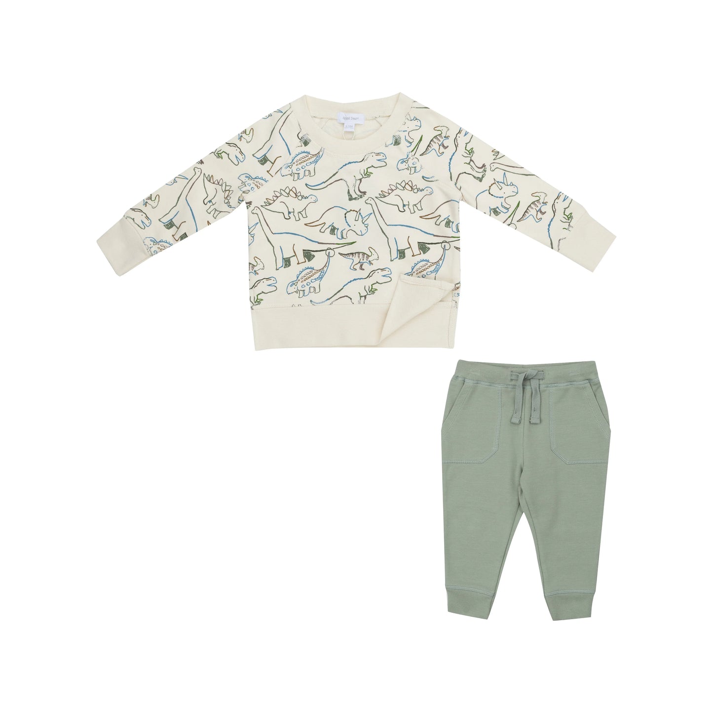 artsy dinos sweatshirt and jogger set