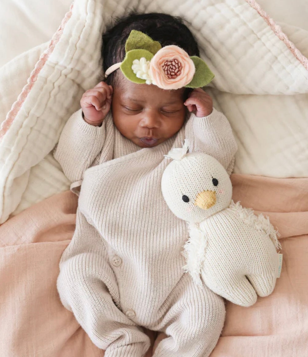 baby gosling
