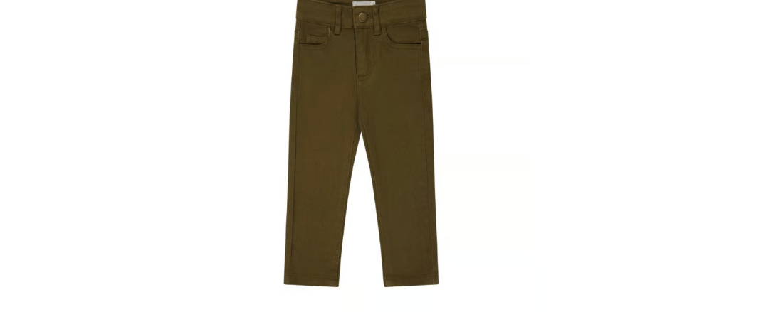 austin woven twill pant